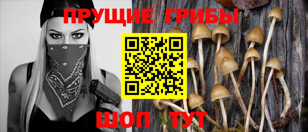 Псилоцибиновые грибы Psilocybine cubensis  магазин продажи   Сердобск 