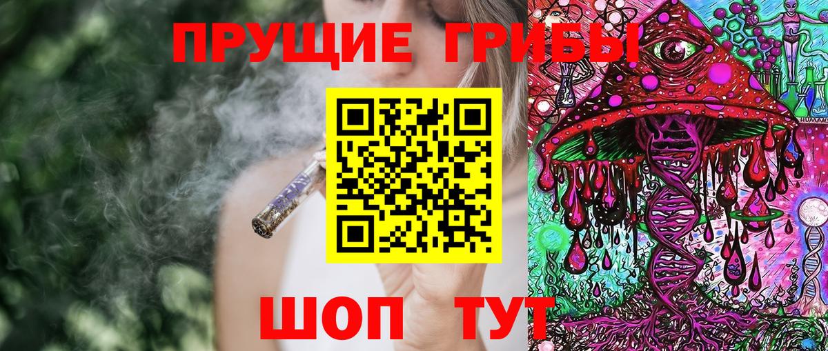 Сердобск  Псилоцибиновые грибы Cubensis  Вход с VPN 